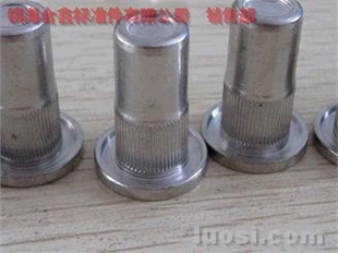 户外金属桌椅的连接利器 不锈钢铆螺母与拉铆枪的应用解析